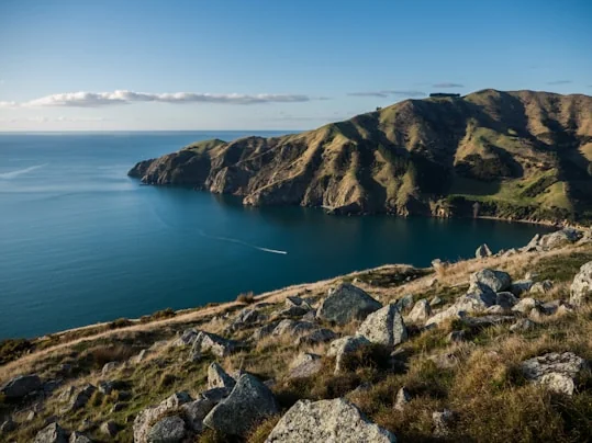 New Zealand fjord scenery